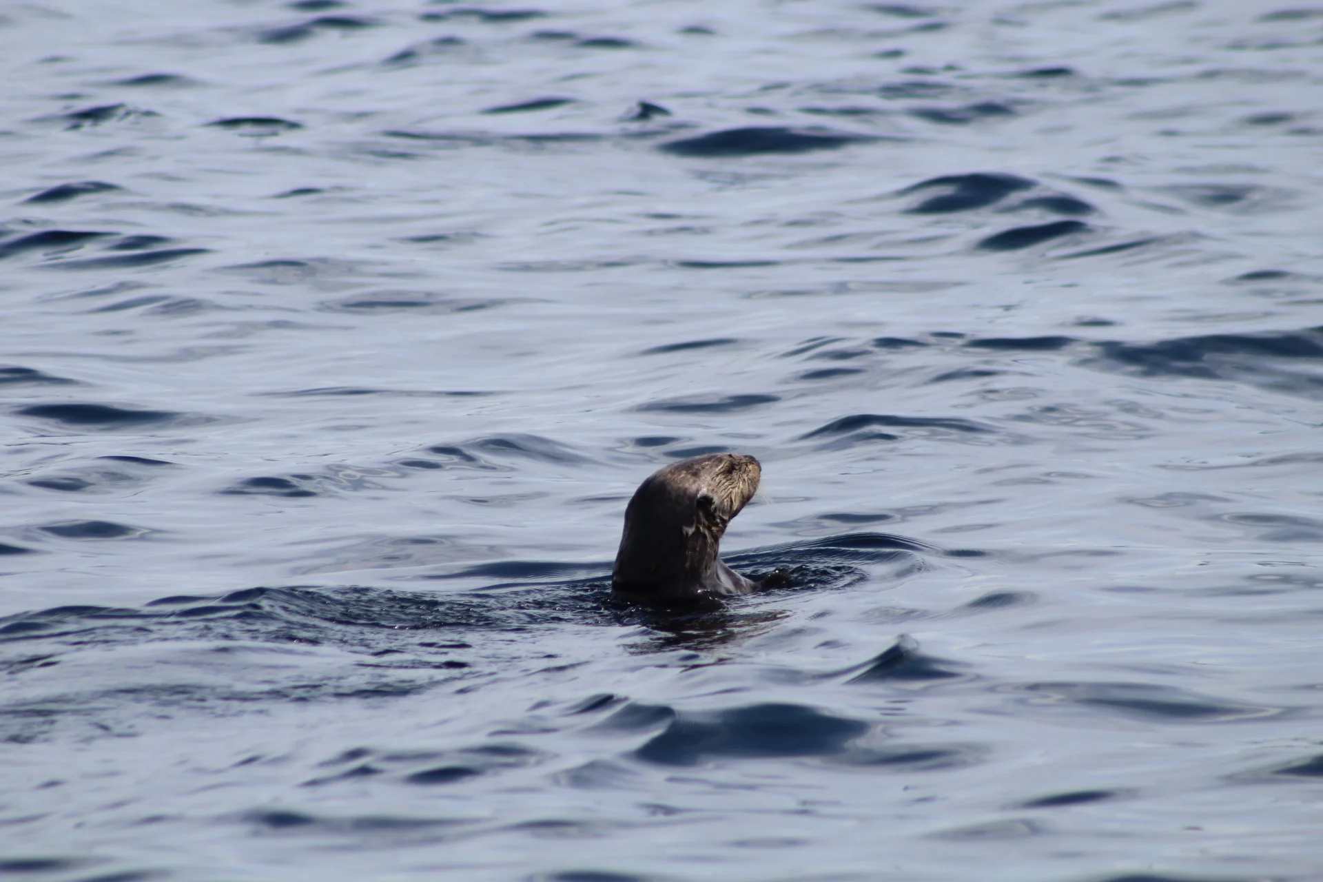 Two surprise sightings!