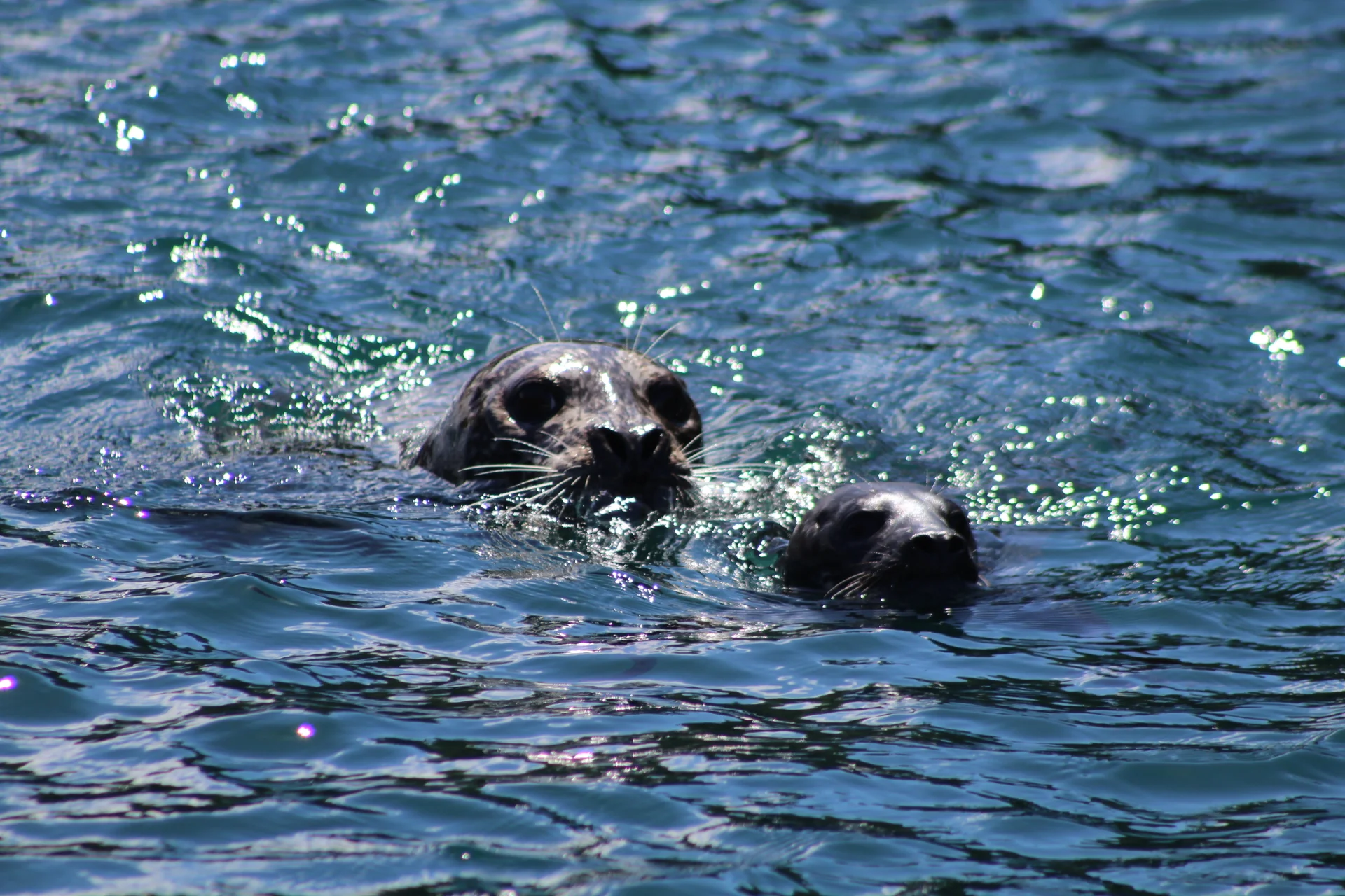 Small Group, Big Experience