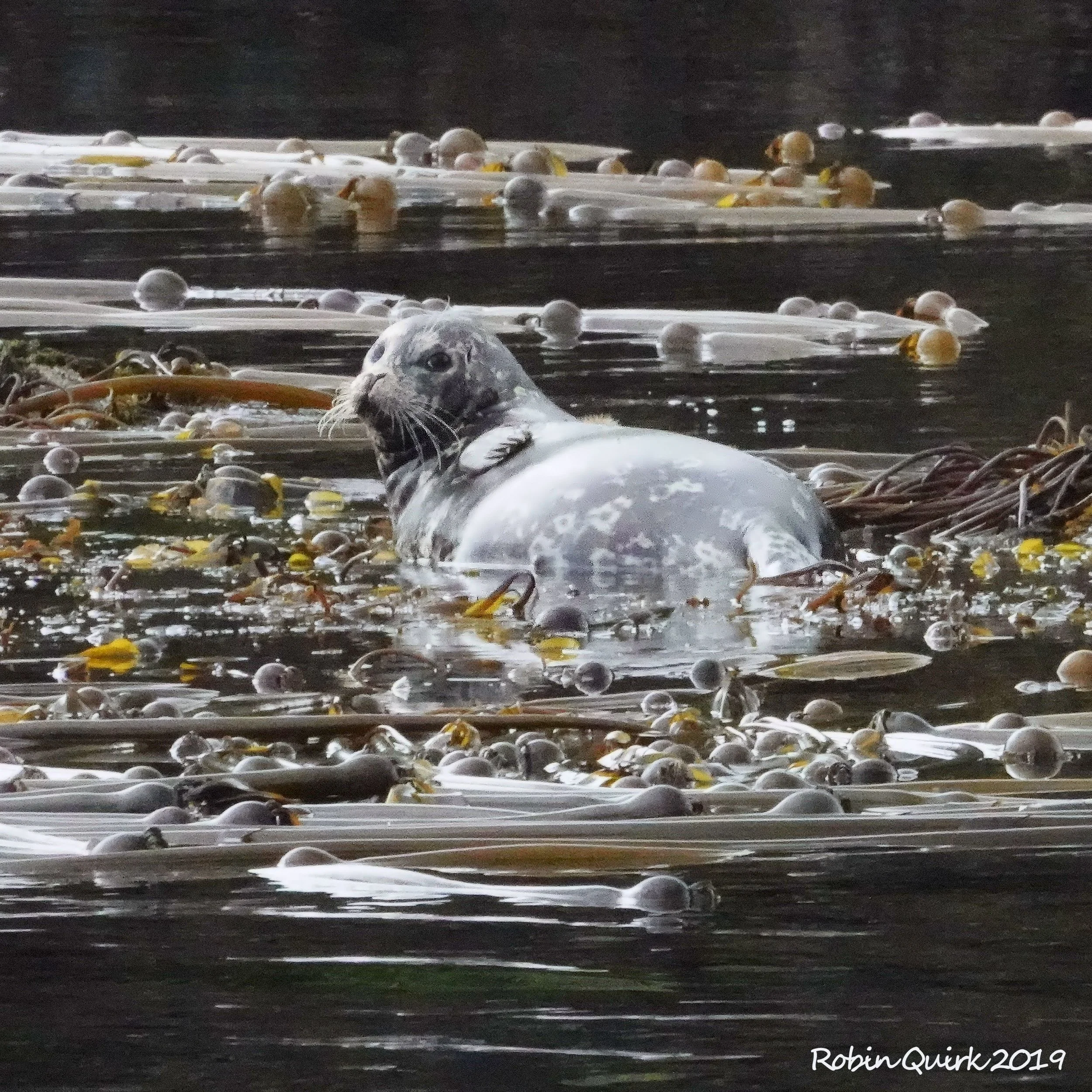 Calm and quiet Saturday