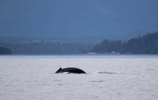 IMG_6658.jpeg