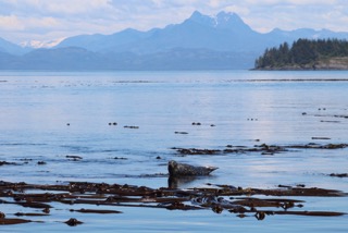 Bright and Beautiful All Day Long