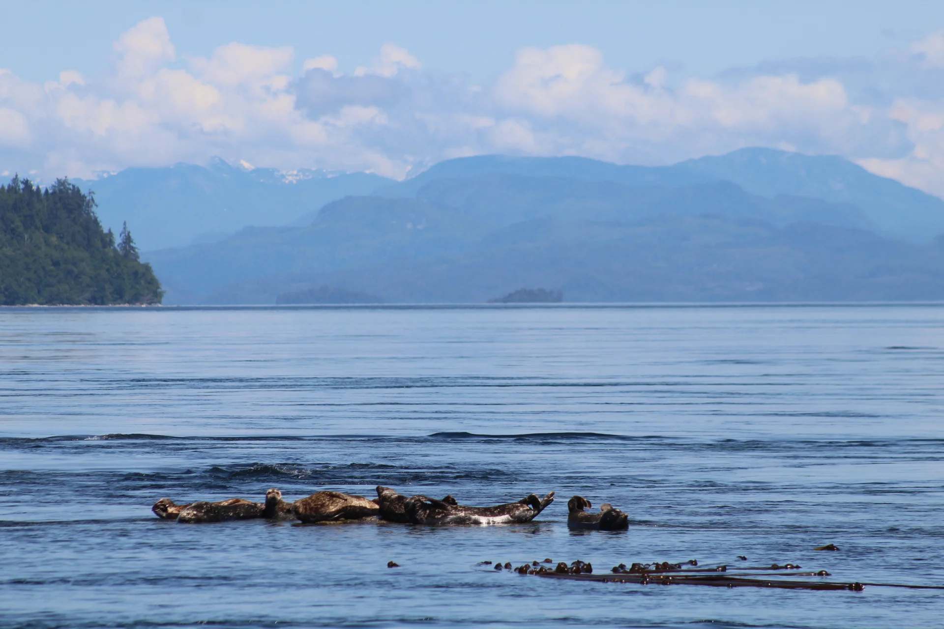 Last Day of June - Filled with Delights