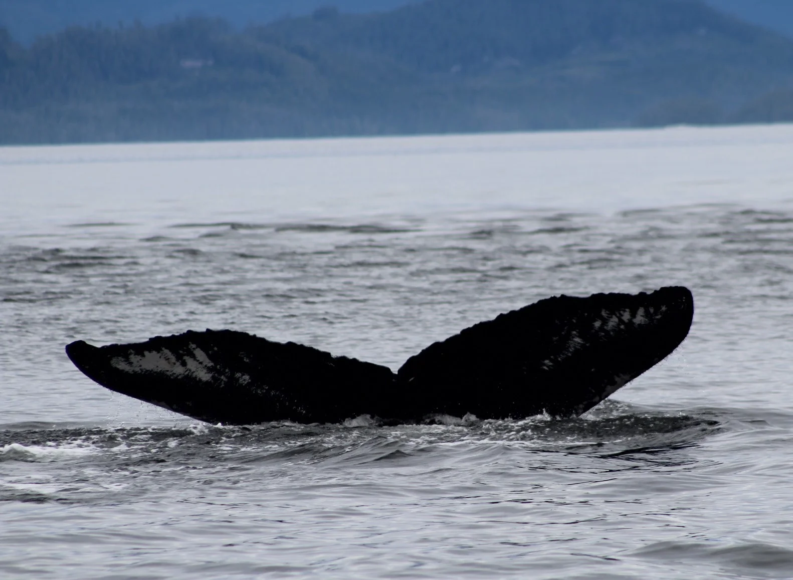 An Adventurous Day on The Water
