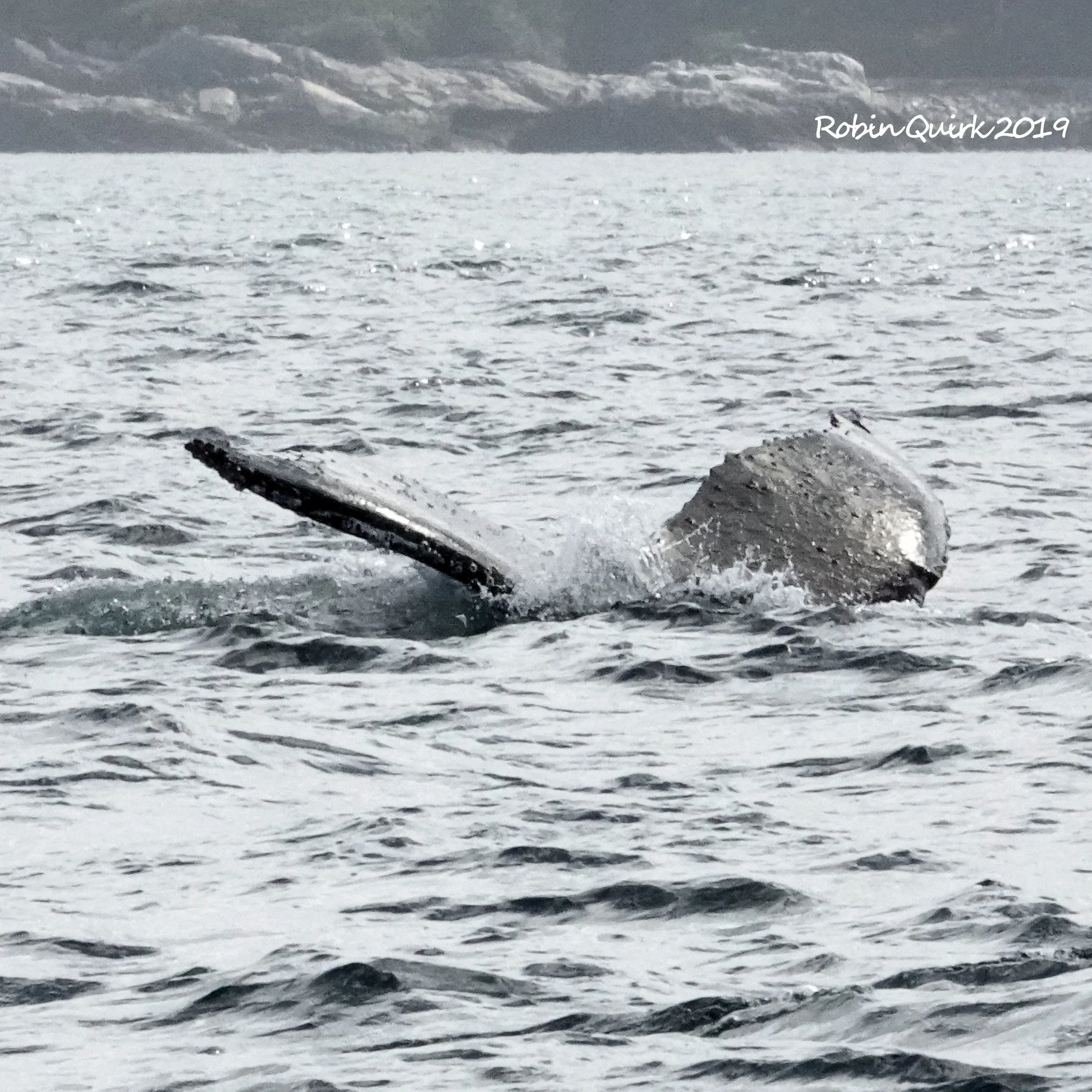 A Day of Many Moods - Photos by Robin Quirk