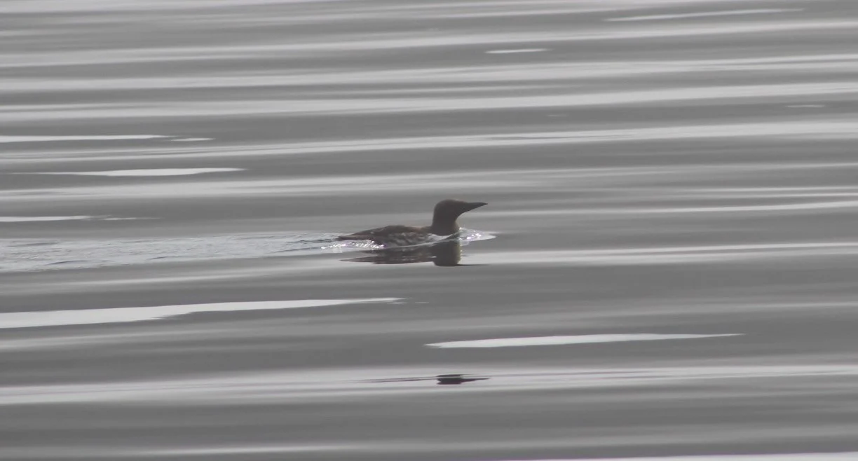 A Great Day on the Water