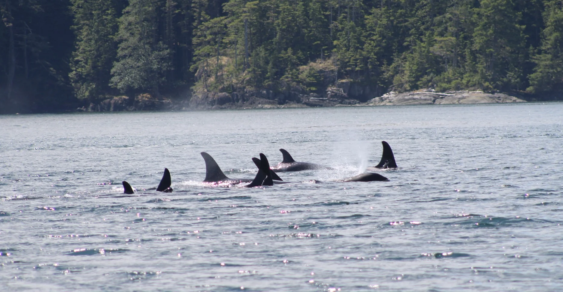 Out of the Fog........Into the Blue