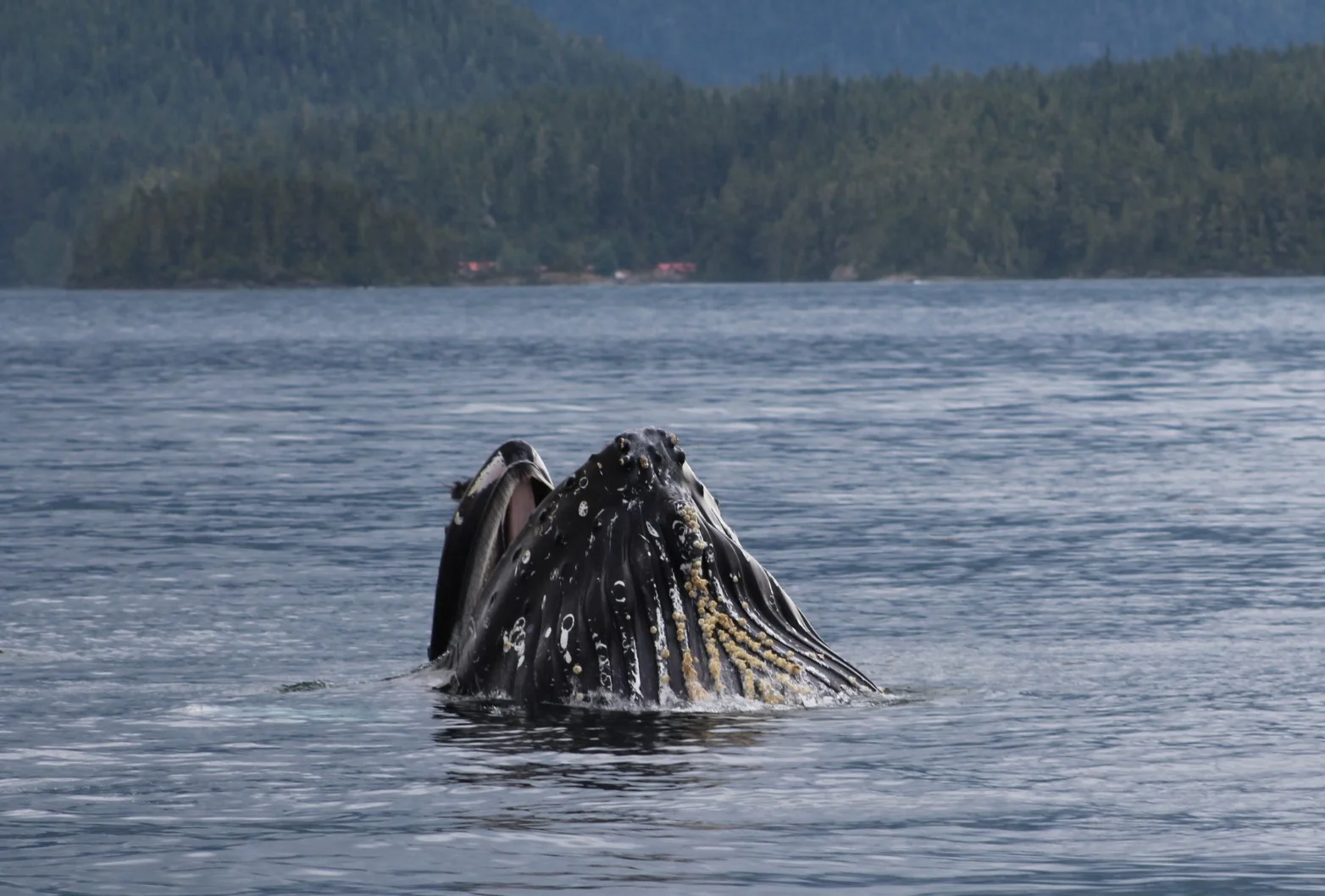 Seeing beauty everywhere we go!