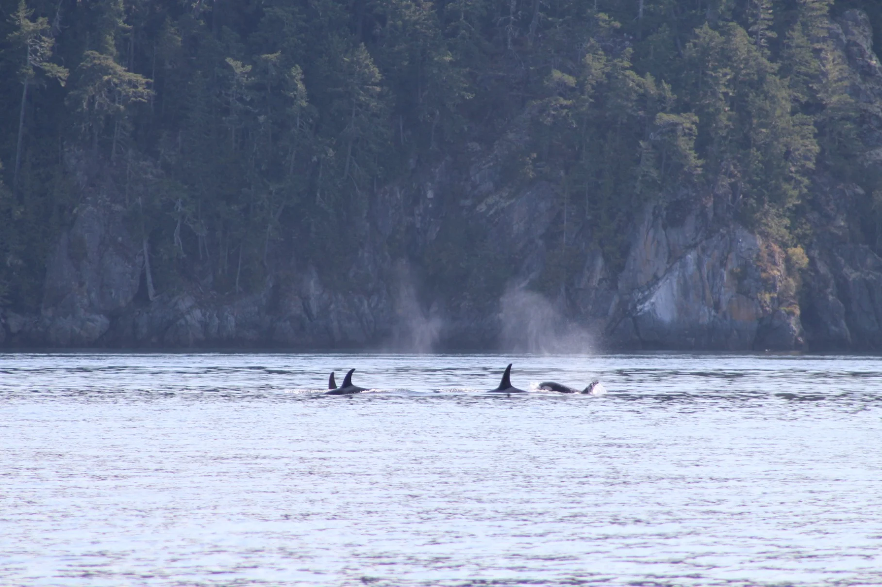 Blue skies, calm water, and lots to see!