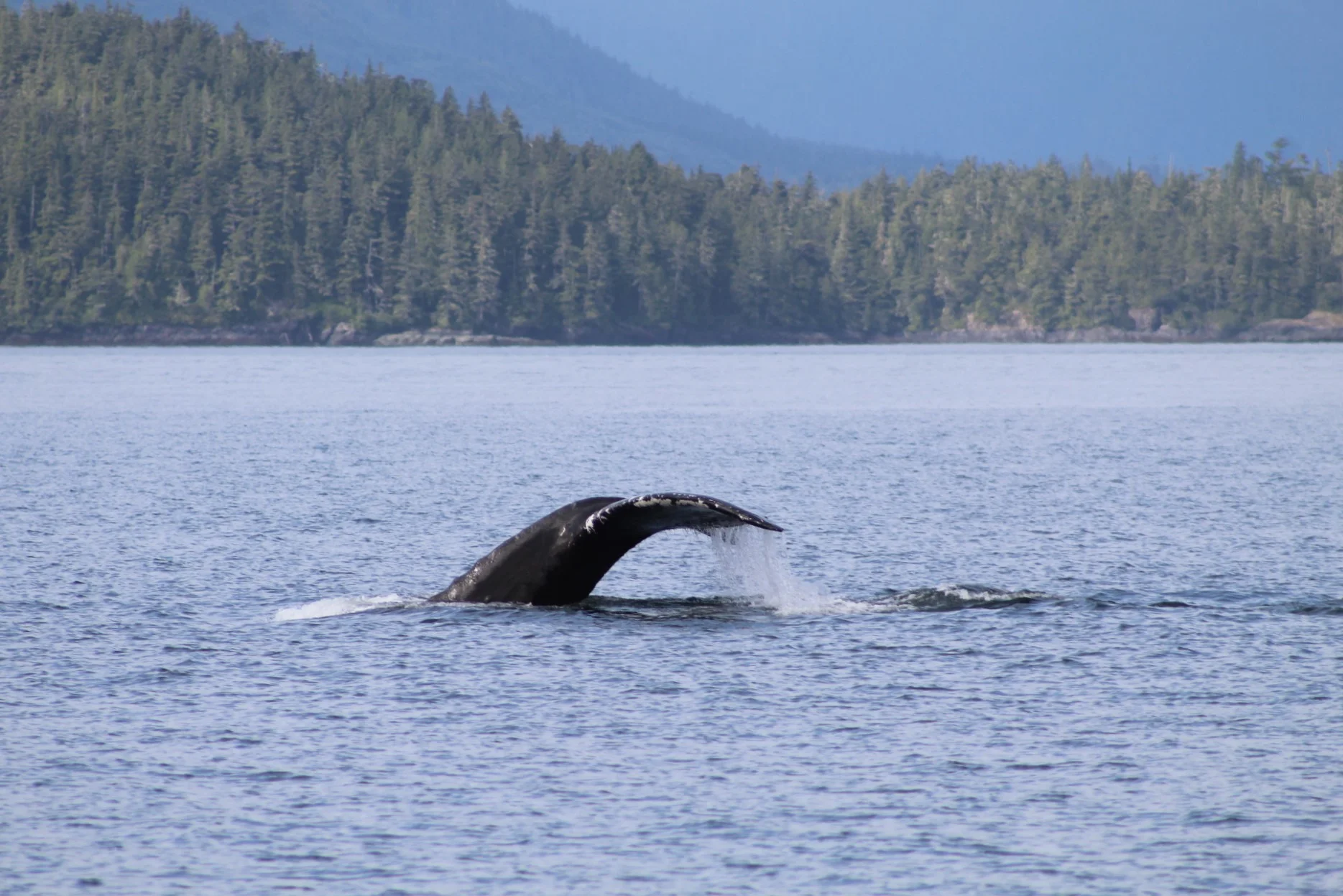 Nature never disappoints!