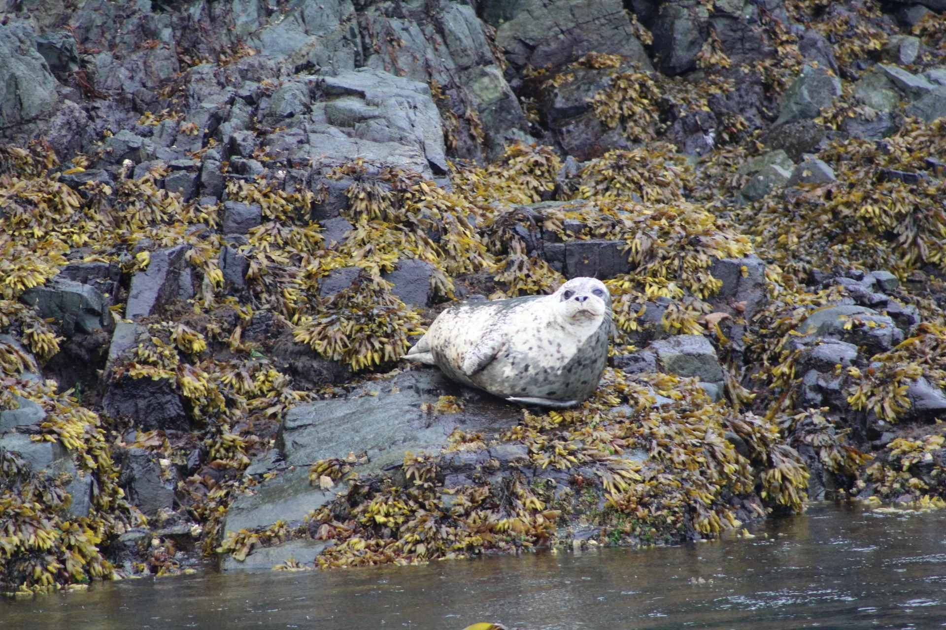 Journeying through our coastal neighbourhood