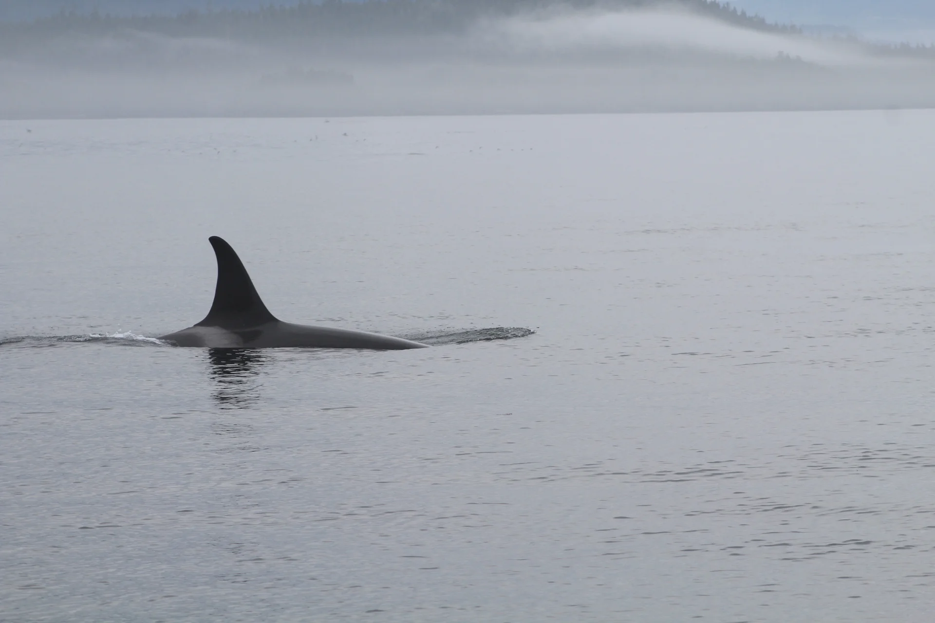 Exploring + Experiencing = Exciting!