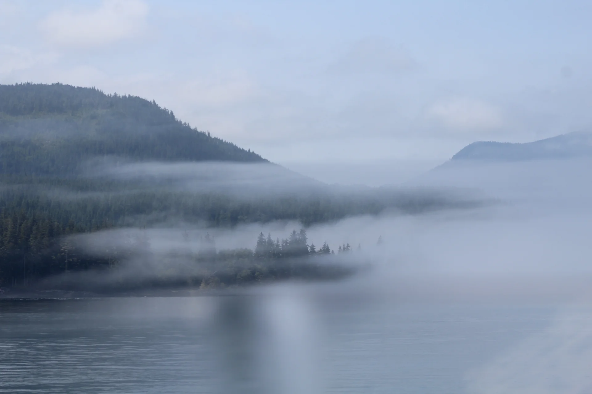 Whales in the Fog and Sun