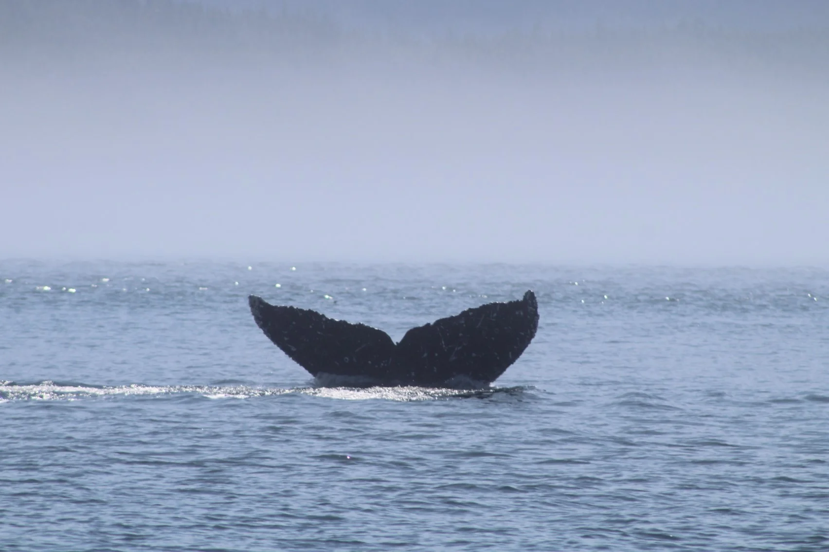 Moments of breathtaking beauty