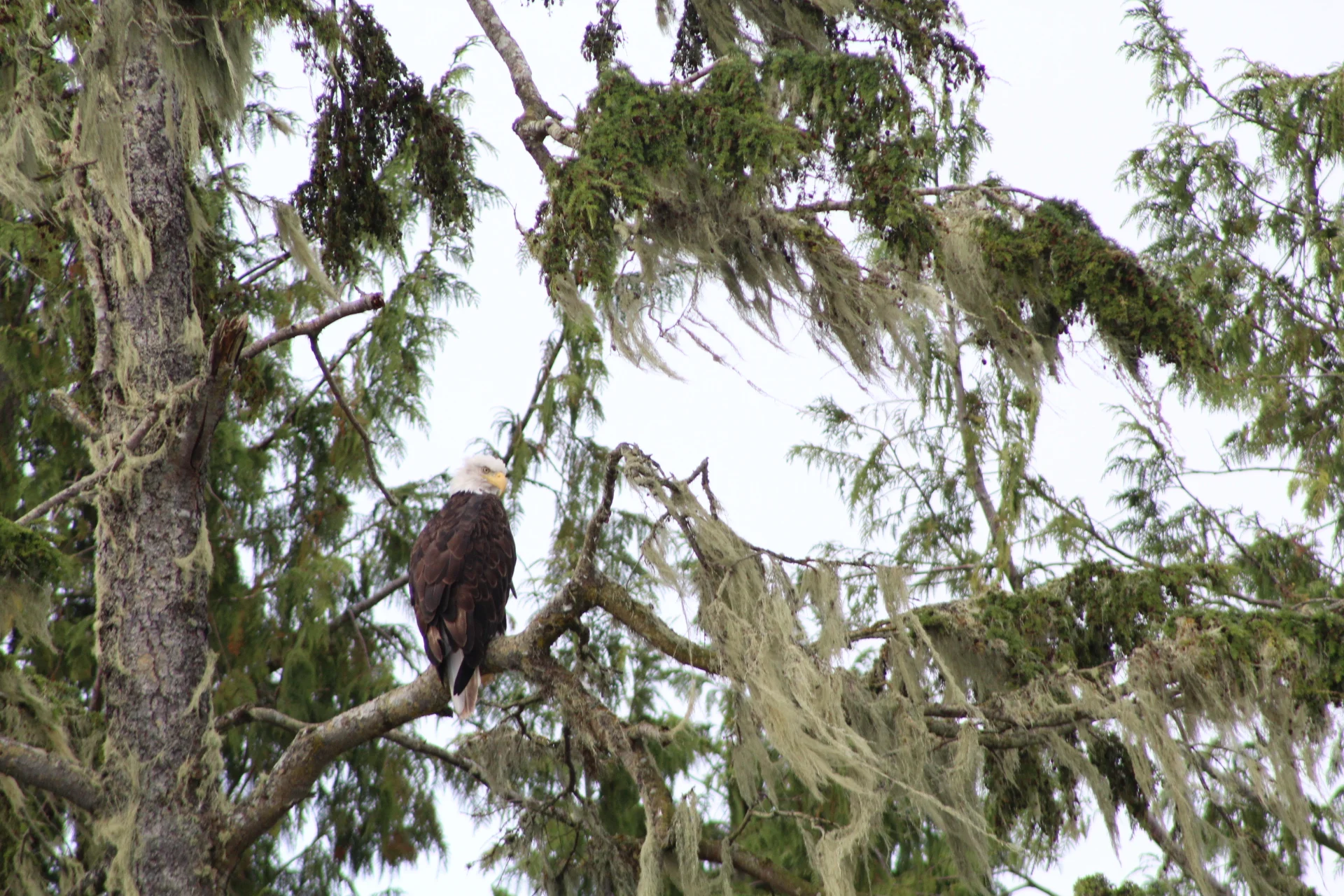 Calm, cool, and coastal