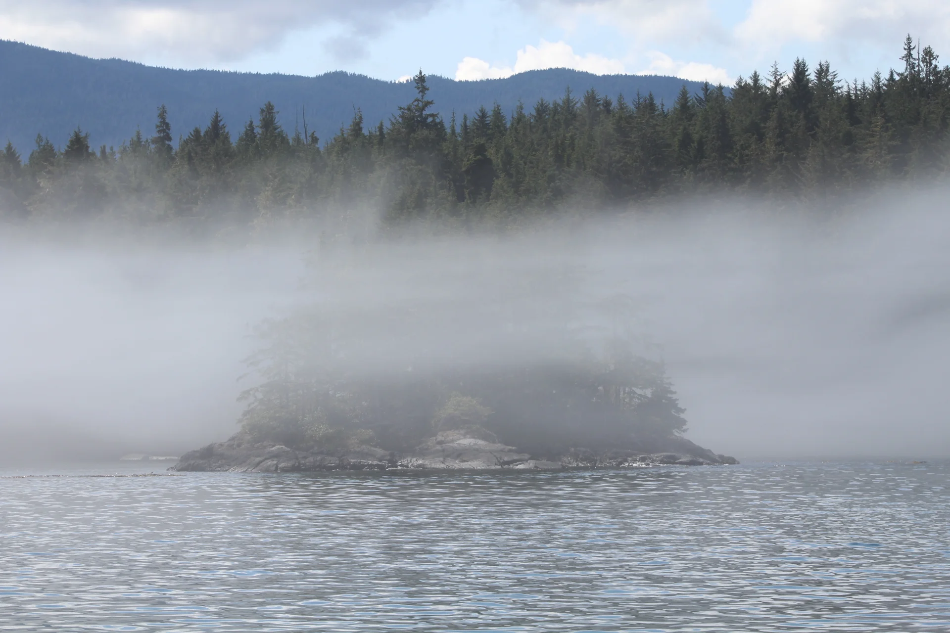 Watching and Listening