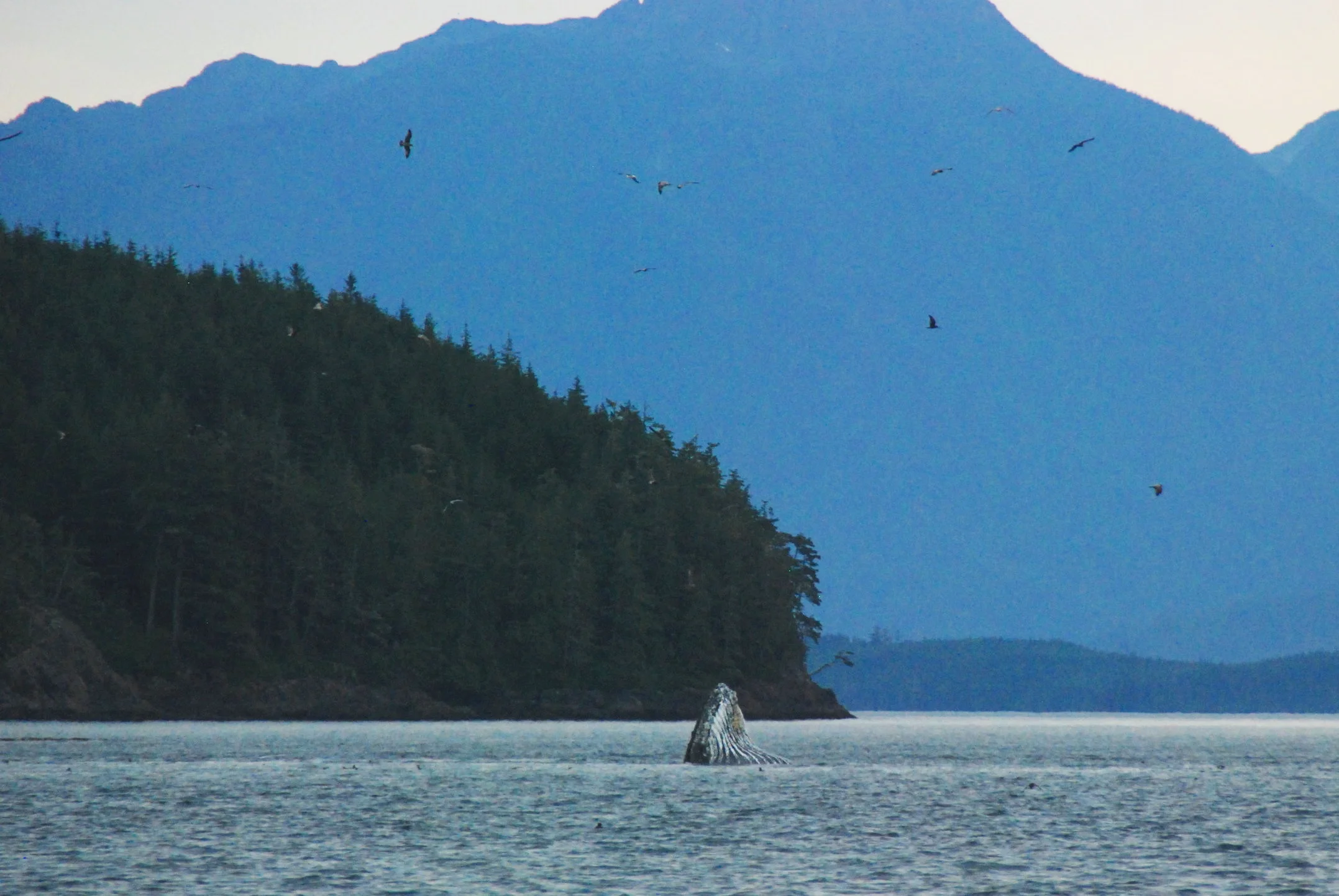 Change is blowing in the air