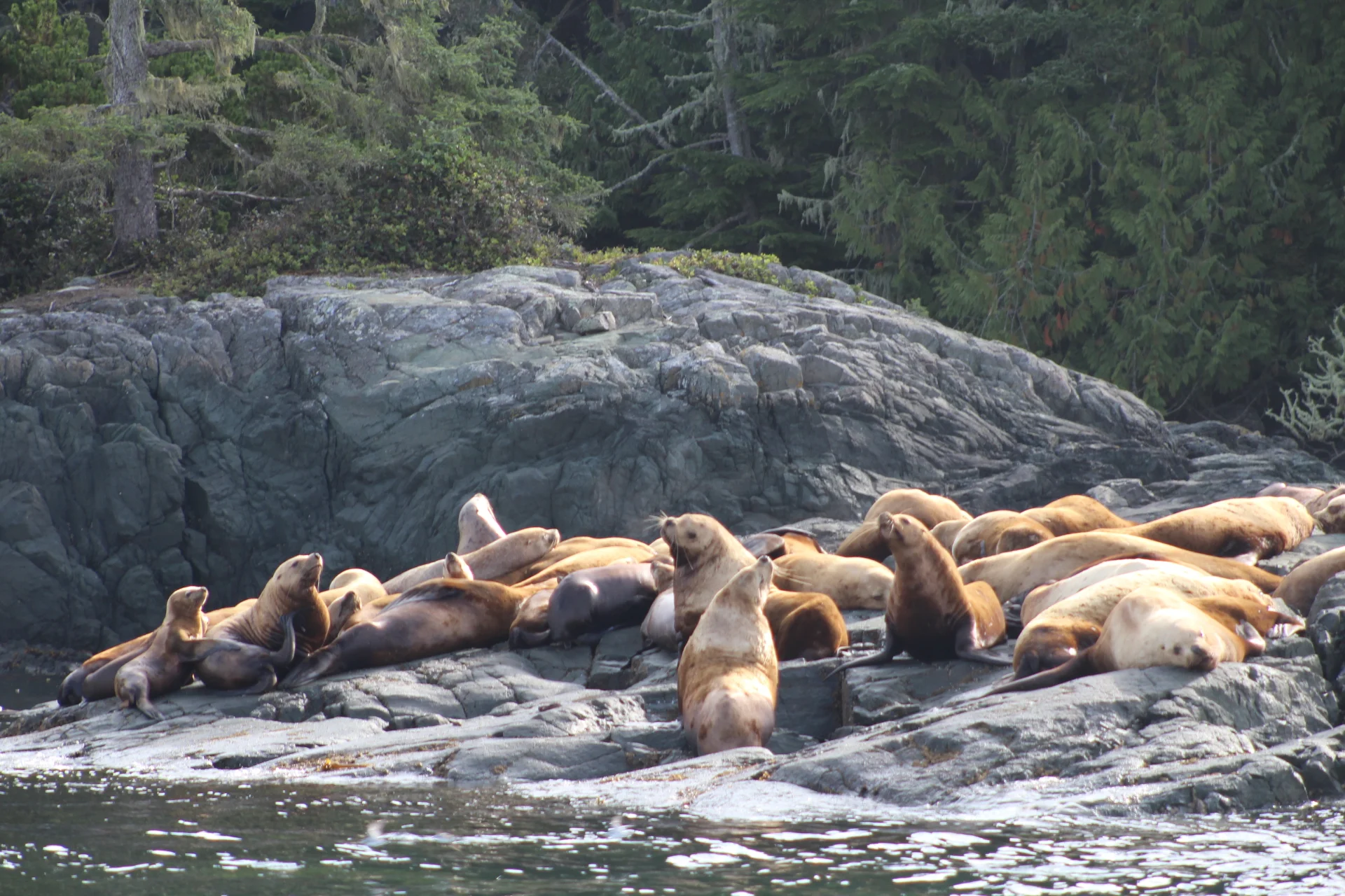 "It was the whole experience!"