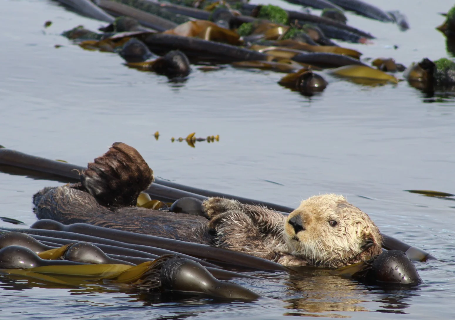 A Little Bit of Everything Makes for a Great Day