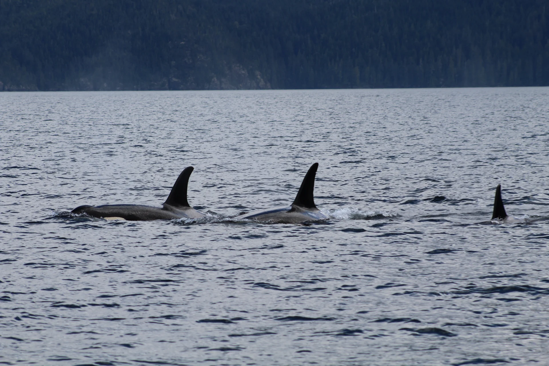 An Awe-inspiring Day Filled with Wonders