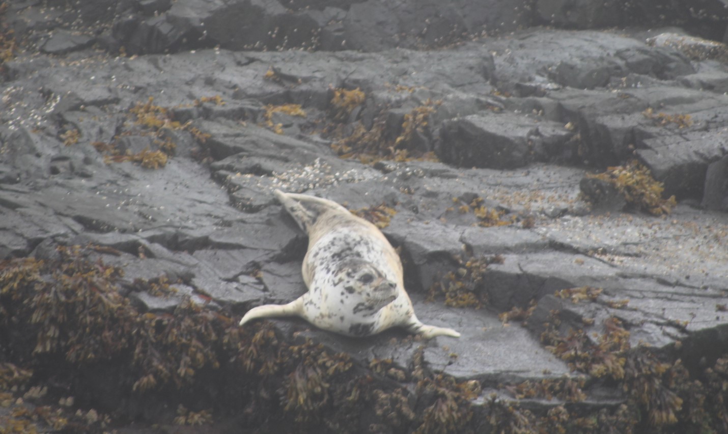 A Rewarding Day On The Water