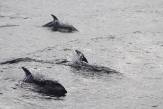 Bright and beautiful our day turned out to be with much to see!