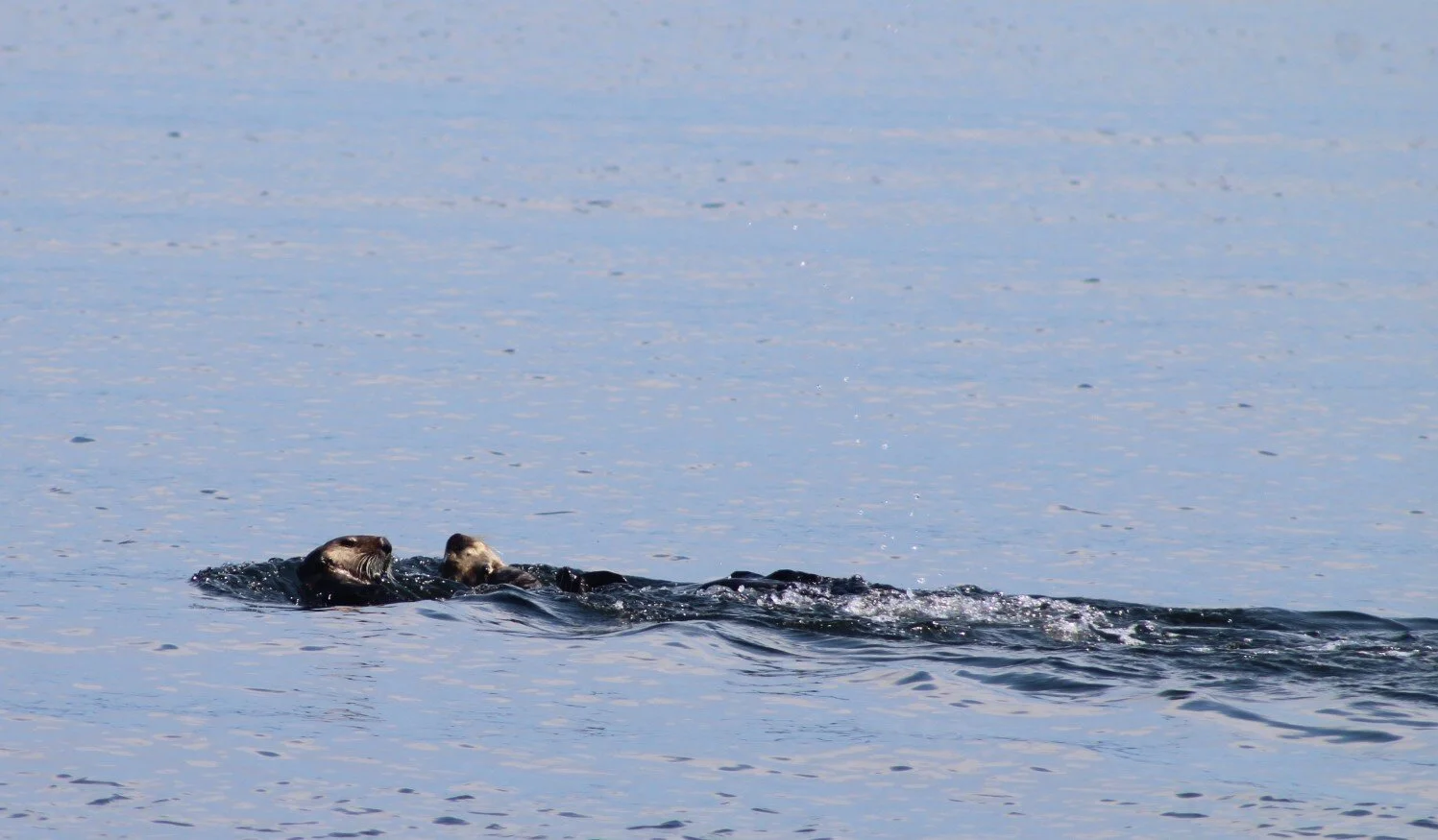 And Then There were Two