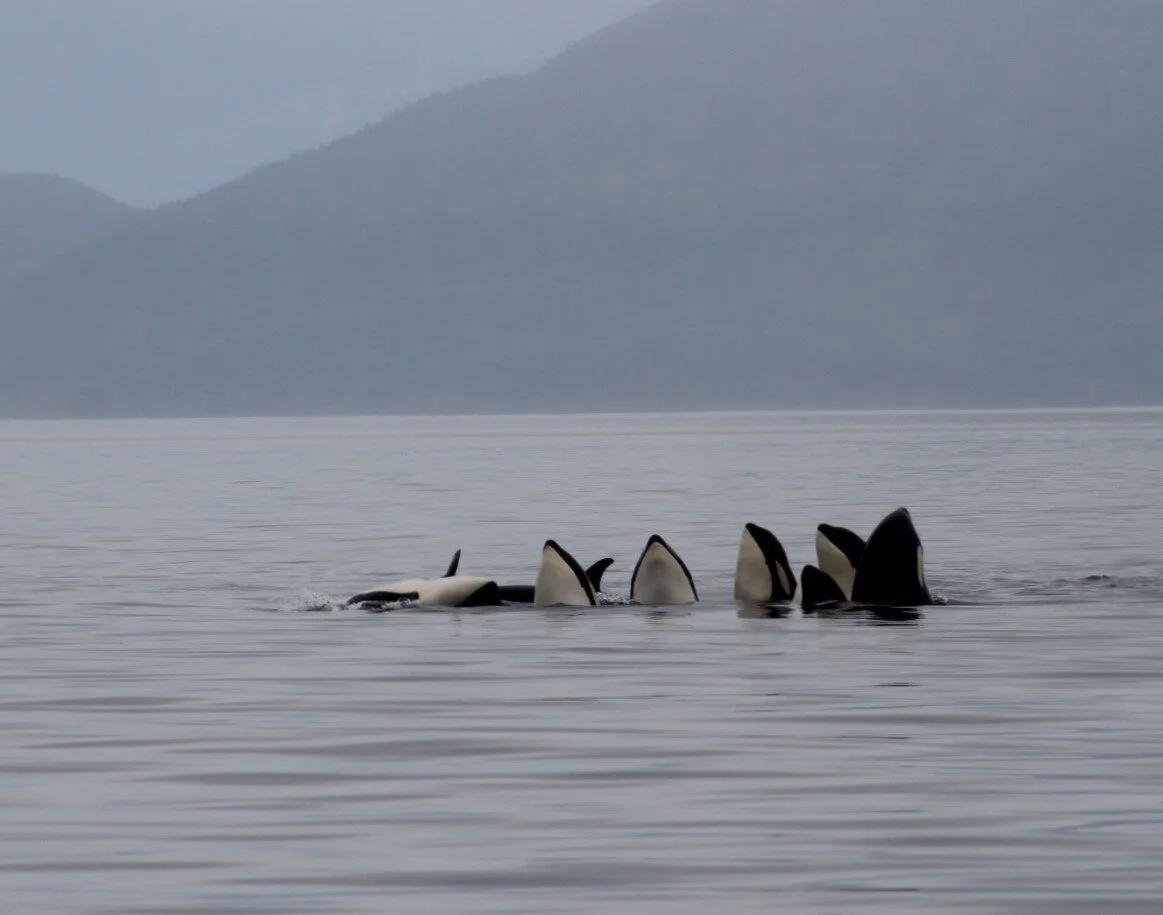 What A Wonderful Day