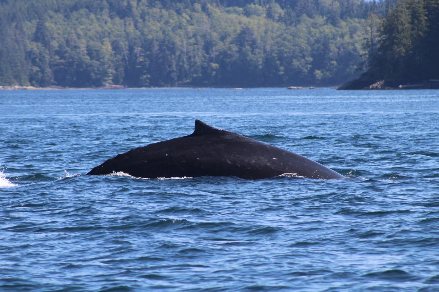 Another Day In Paradise