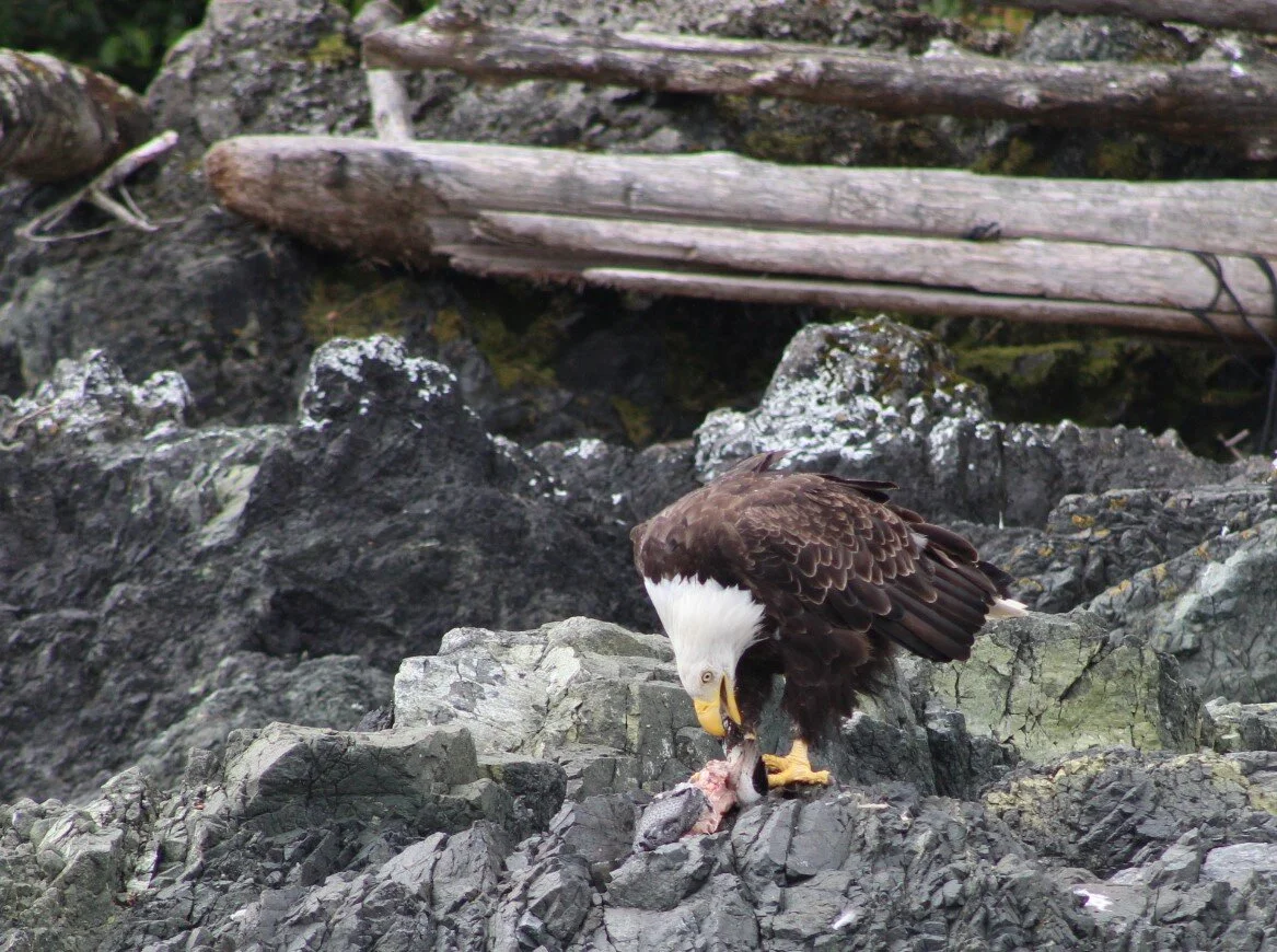 An Awe-inspiring Spectacular Day