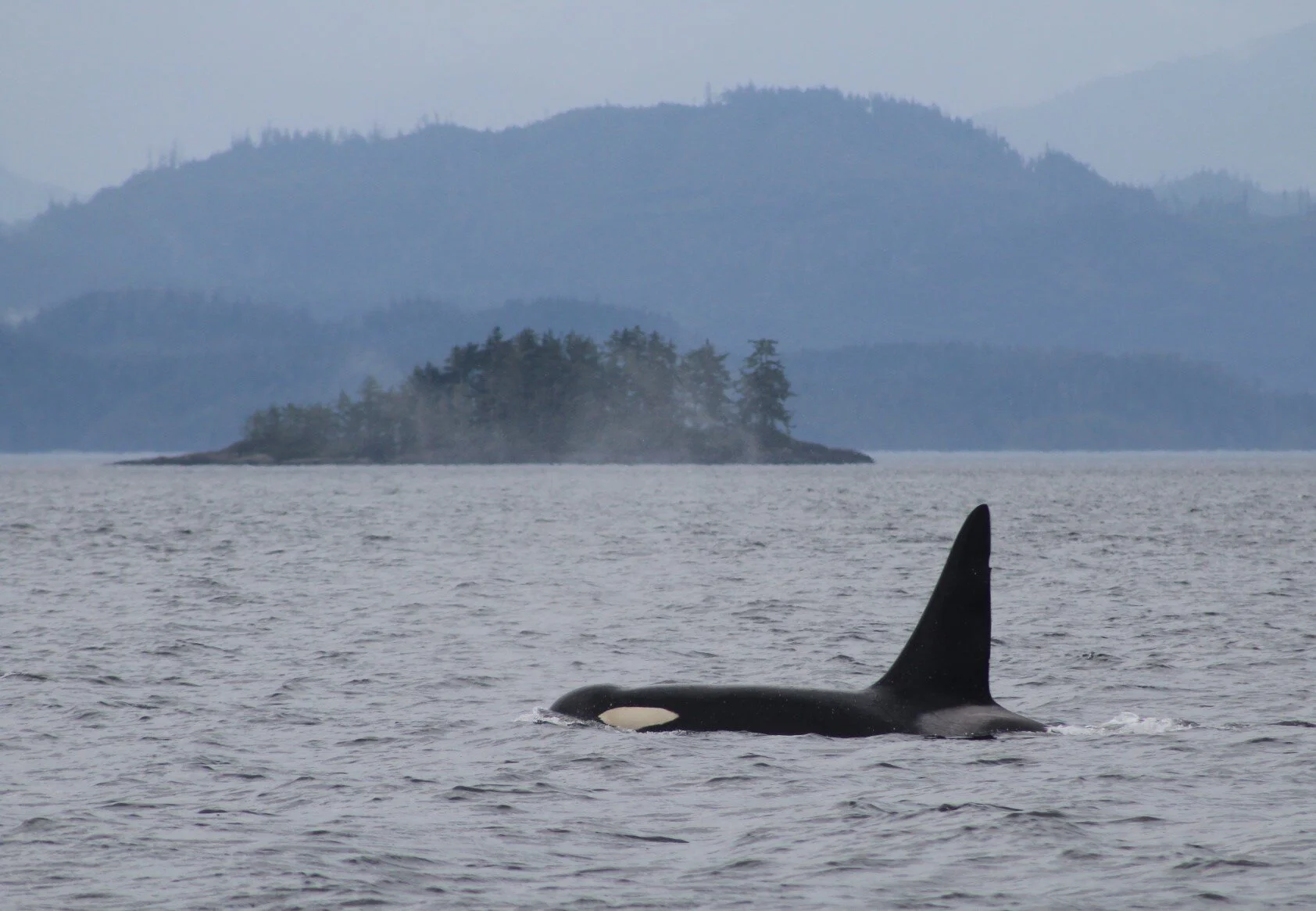 The Wind Livens things Up