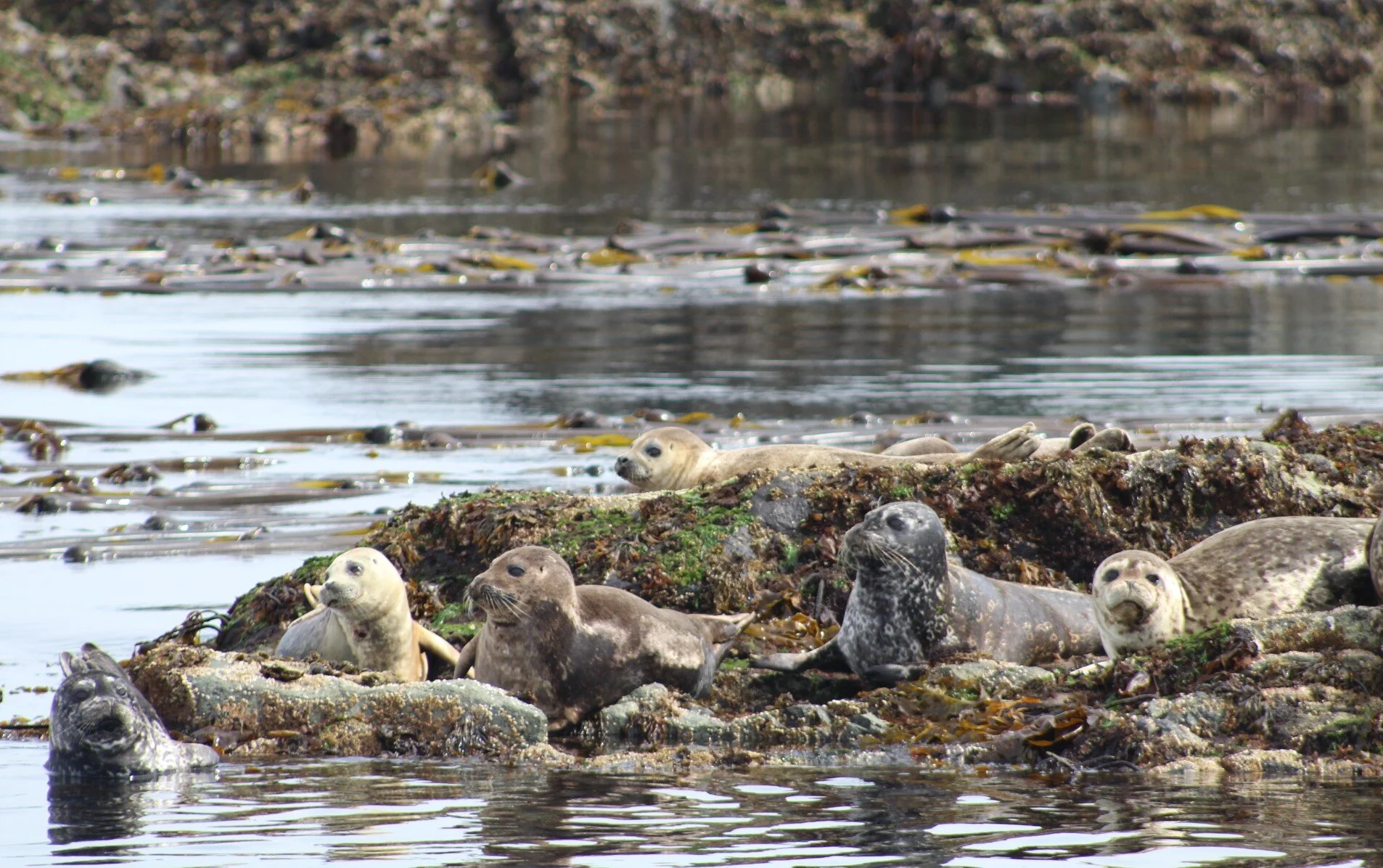 Another Beautiful Day