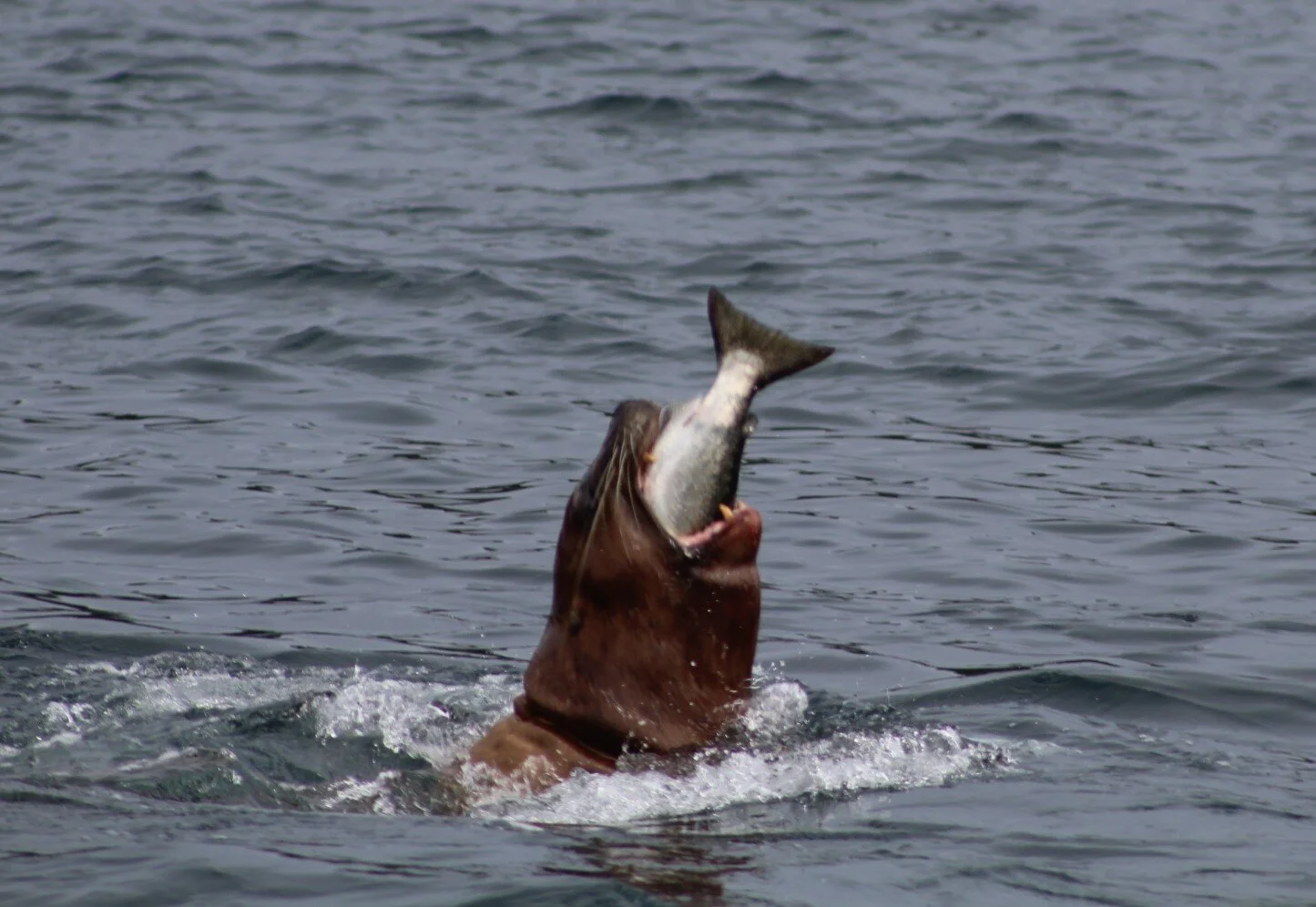 An Incredible Jam Packed Adventure