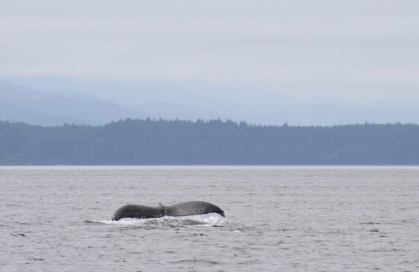 Another Fabulous Tour!