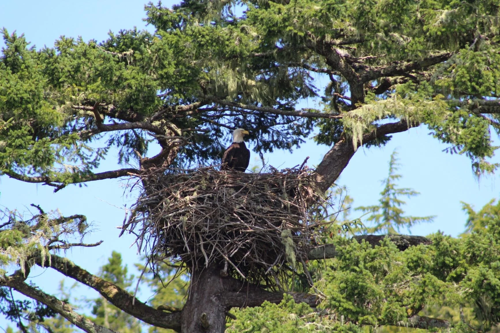 Another Beautiful Day on the Water! 