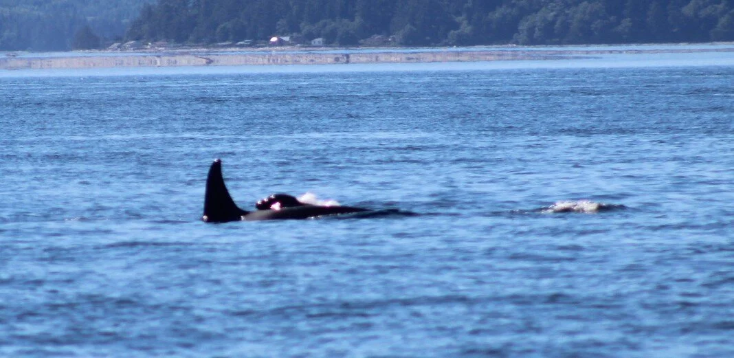 The Time Just Flew By!