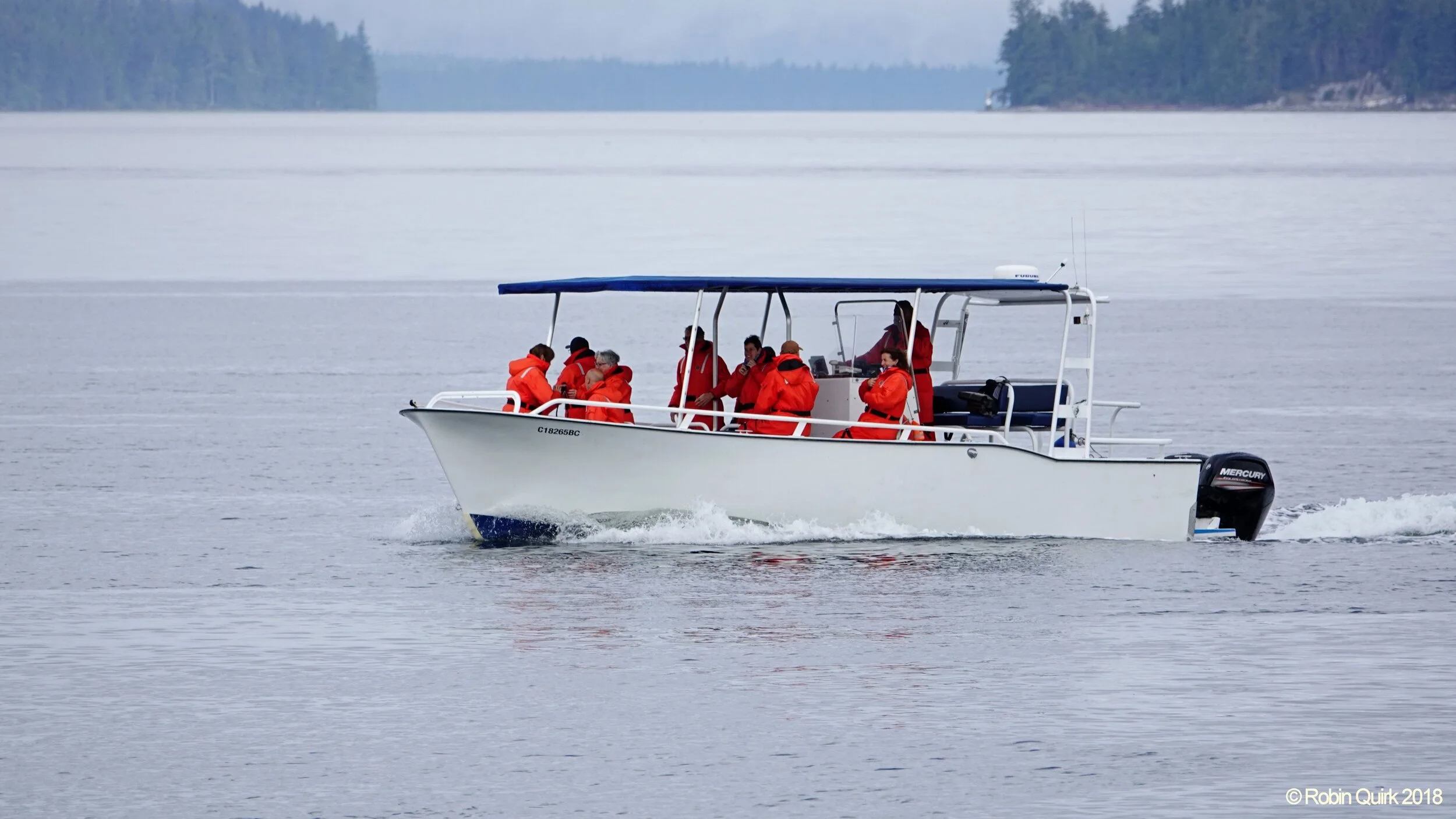 Siesta time with the Northern Residents
