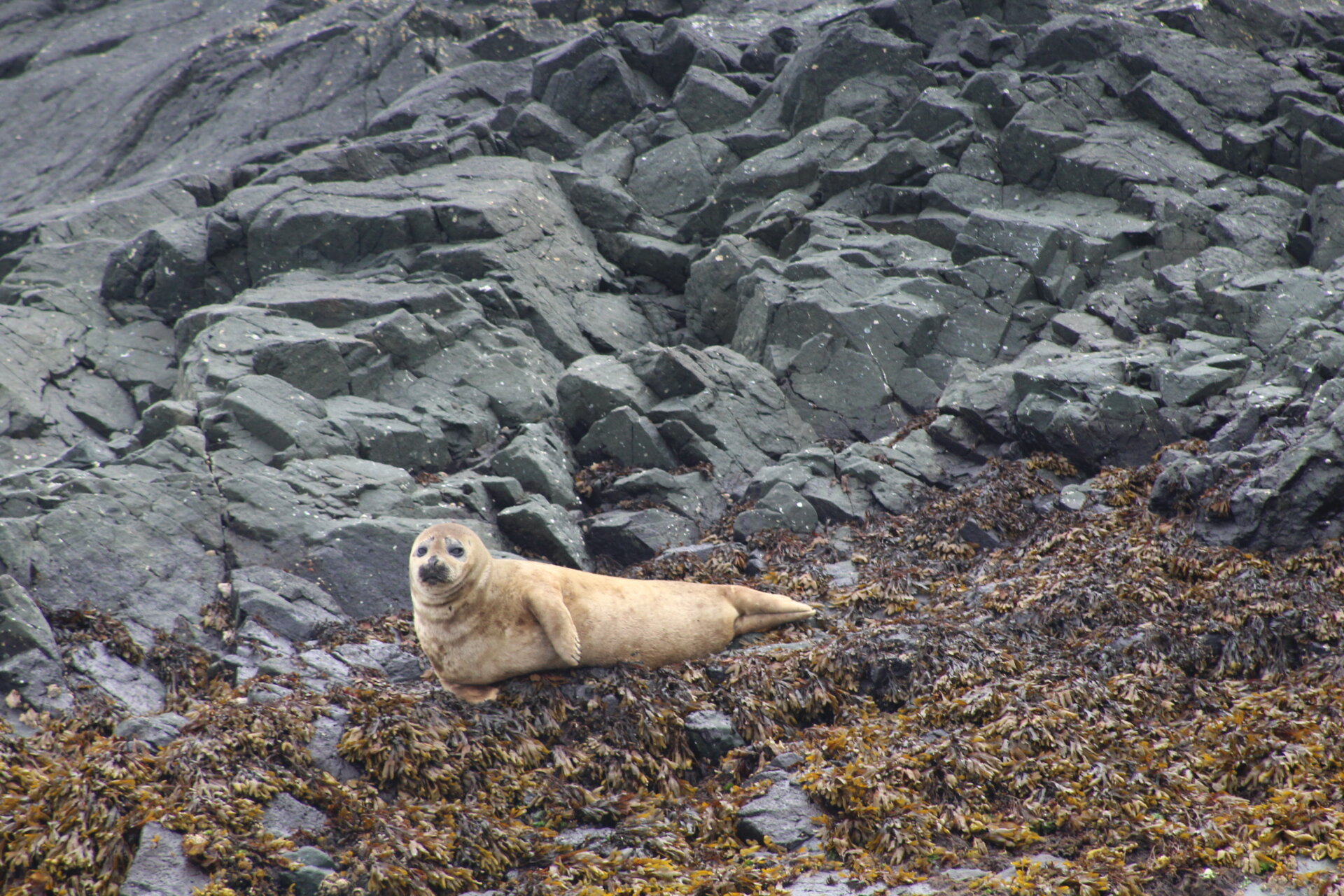 It Was a Killer Day!