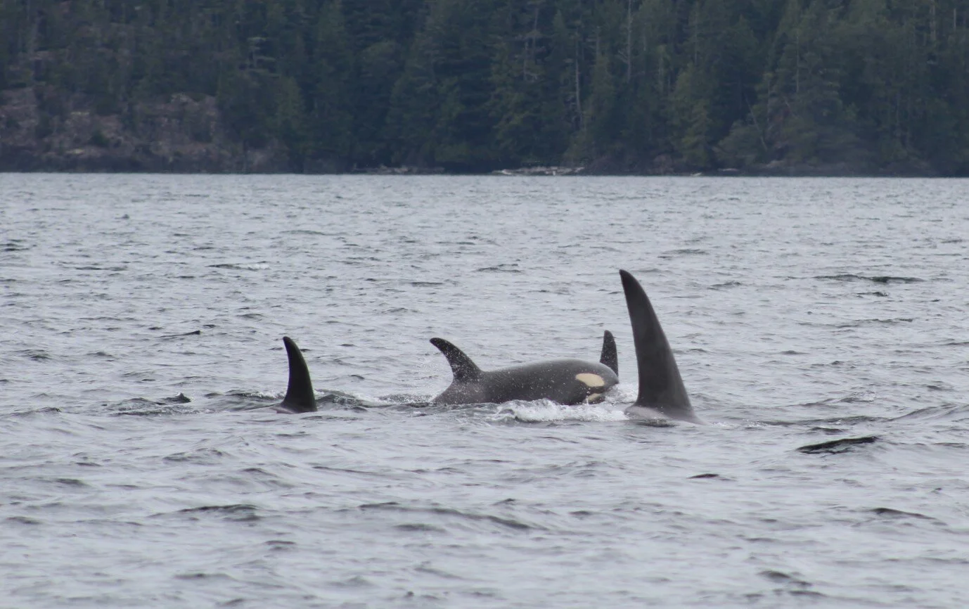 Magical Day on the Water