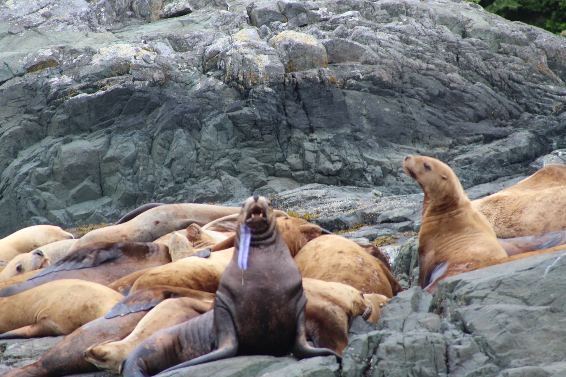 'A Memorable Experience' say our guests