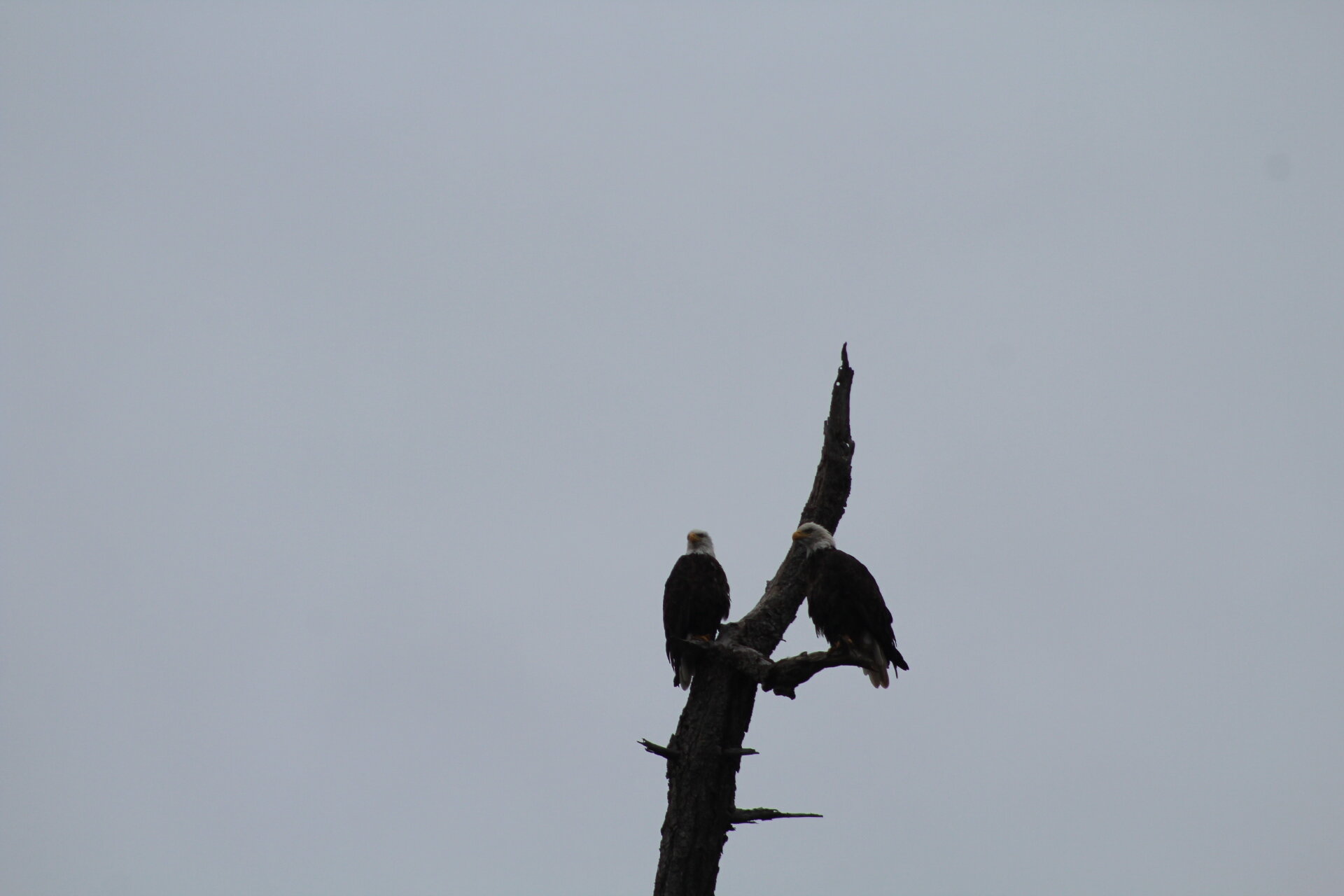 Wonderful Day on the Water
