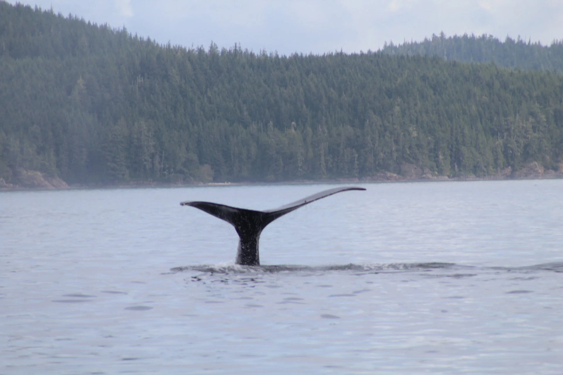 Amazing Day for Everyone!