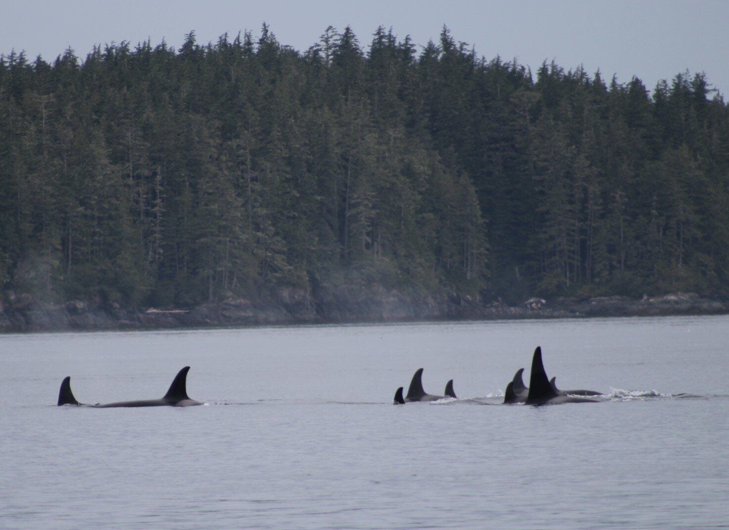 Gathering at the Blow Hole