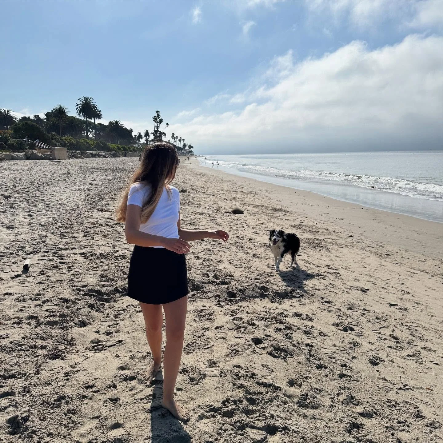 my week in santa barbara, palm desert &amp; los angeles 🌊🌵🌞