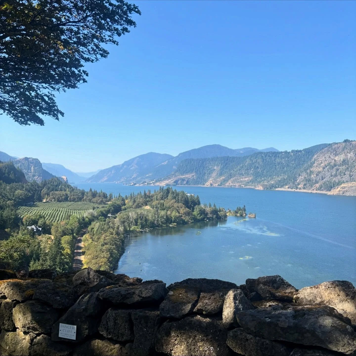 A GORGEous end to the summer 🤩🌳💕