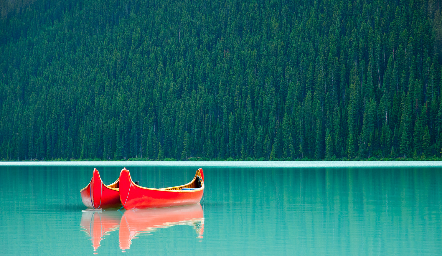 Calgary_Design_Company_Mountain.jpeg
