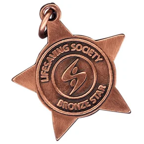sl_bronzestarmedal.jpg