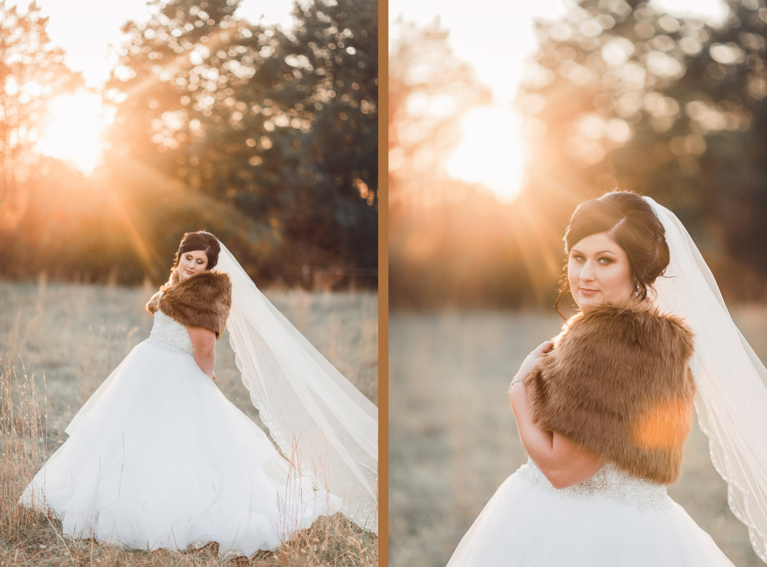 Brandy Bridal Portraits Clarksville Tn Photographer Iron Lace