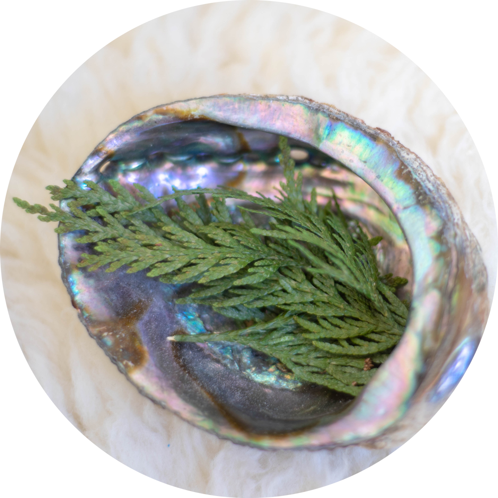 GivingThanks_Circle.png