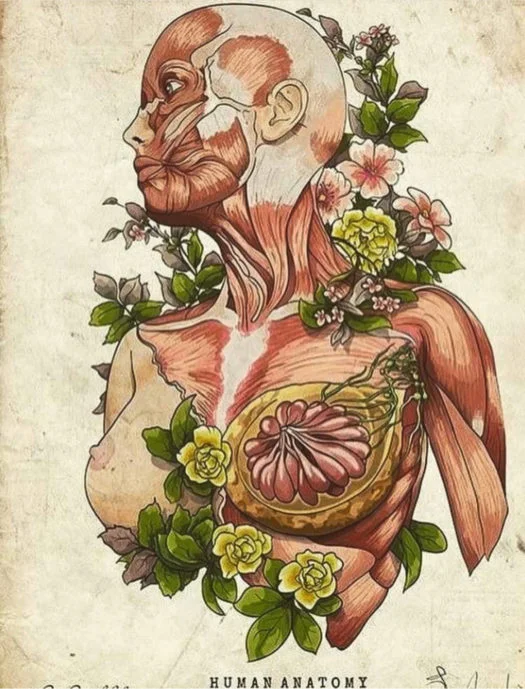 Breast Health.jpg