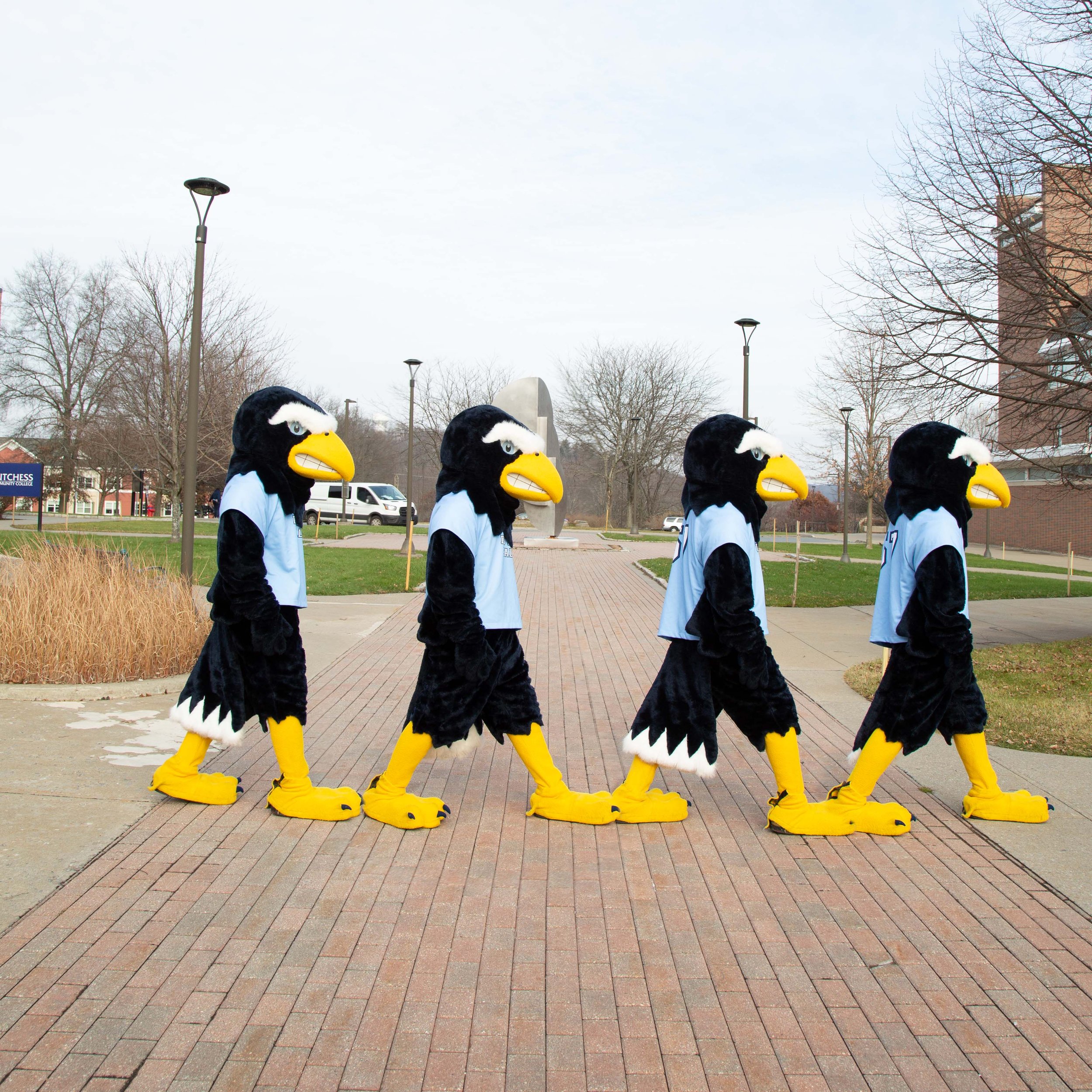 DCC Abbey Road